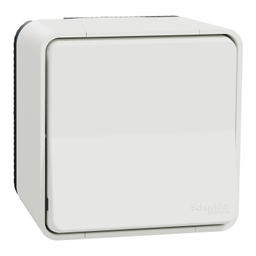 SCH MUREVA INTR. CAP-SCARA PT ALB IP55 MUR39021