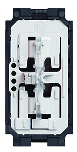 BTC LIVING NOW 1M INTR CAP SCARA K4003