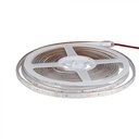 LED BANDA 12V IP65 6500K 4.2W 420 lm/m (5ml/rola) 212031