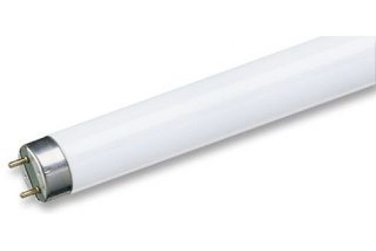 TUB FLUORESCENT 58W Philips SNOW WHITE