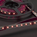 ARX LED BANDA 24V IP20 RGB+3000K 14,4W XSTRIP (5m/rola)