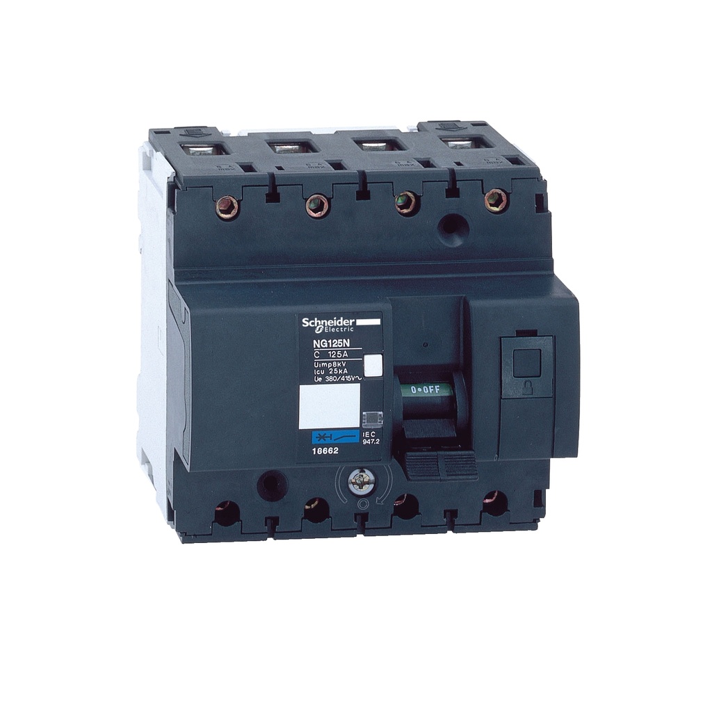 SCH DISJ. NG125N 4P 100A C 18660