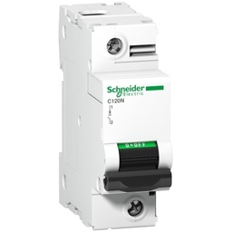[A9N18357] SCH C120N B 1P 80A 10kA A9N18357